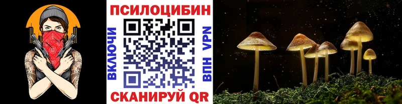 Купить где  Мценск  Галлюциногенные грибы прущие грибы 
